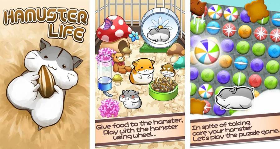 Hamster lives. Хамстер лайф. Игра Хамстер лайф. Взлом Хамстер лайф. Игра HAMSTERBAND правила на русском.