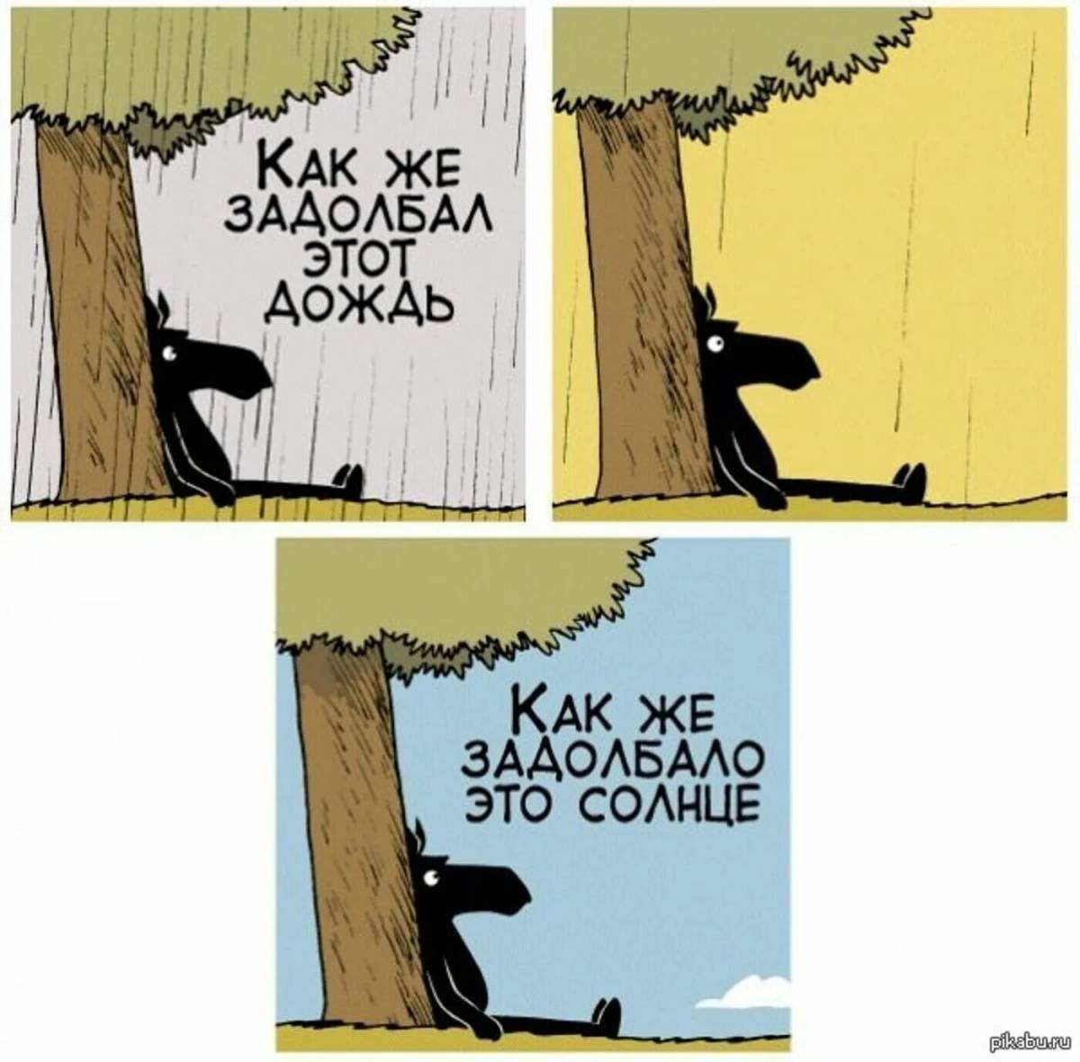 Финита инкантатем ты меня уже задолбал. Шутки про вечно недовольных. Открытки задолбал этот дождь. Юмор о нытиках. Приколы про недовольных людей.