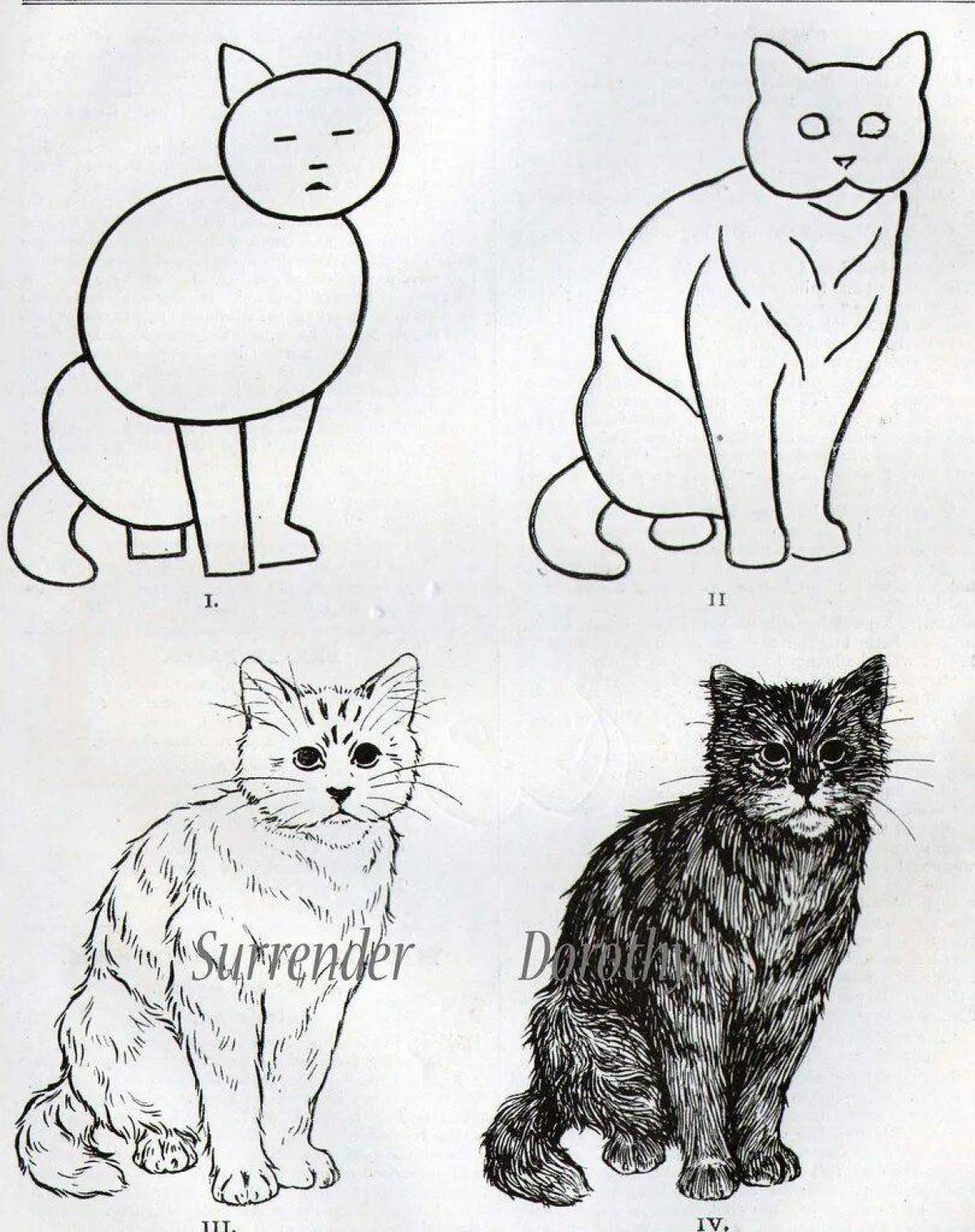 Покажи картинку где рисовать. Кошка рисунок. Этапы рисования кошки. Кот для рисования. Кошка рисунок карандашом.