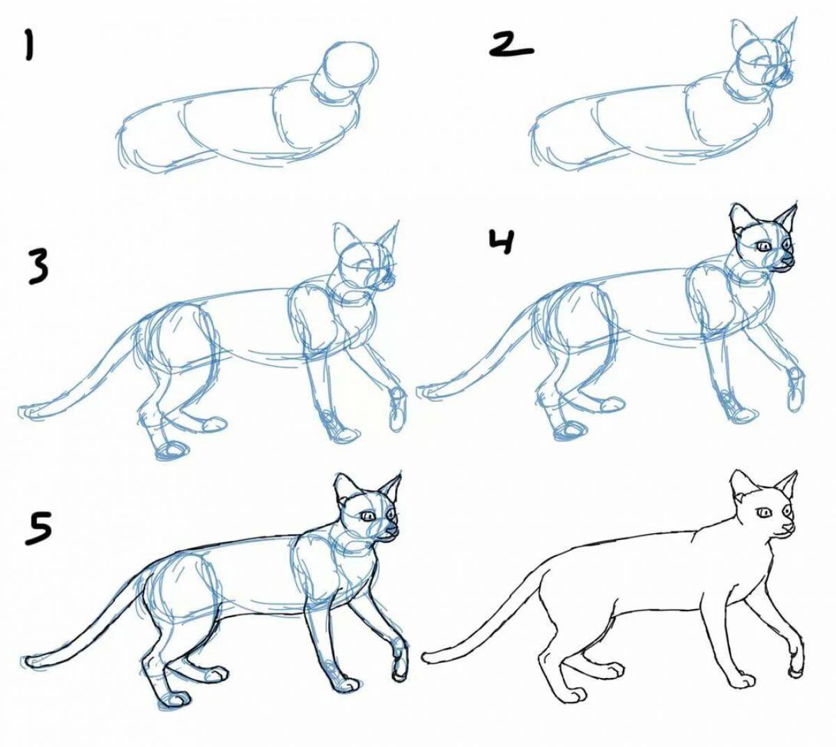 Учимся рисовать уроки. Поэтапное рисование кошки. Схема рисования кошки. Этапы рисования кошки для дошкольников. Рисование кошки пошагово.