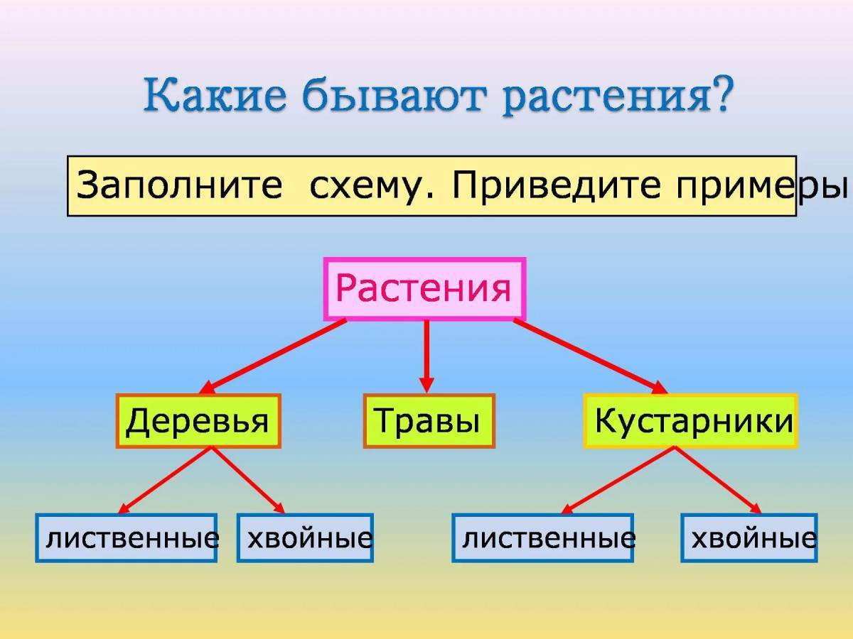 Вид группы растений