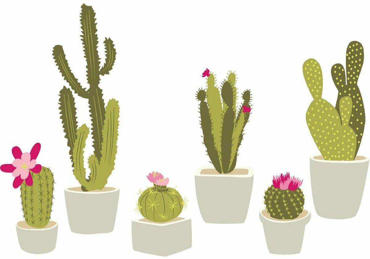 Флипчарты cactus. Кактус опунция в горшке. Опунция Кактус Эстетика. Опунция кактусы вектор. Поласкея чичепе Кактус.