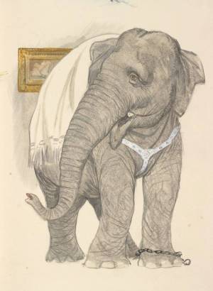 Раскраска к рассказу куприна слон 3 класс #11 #329476