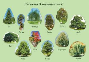 Раскраска какие бывают #16 #331692