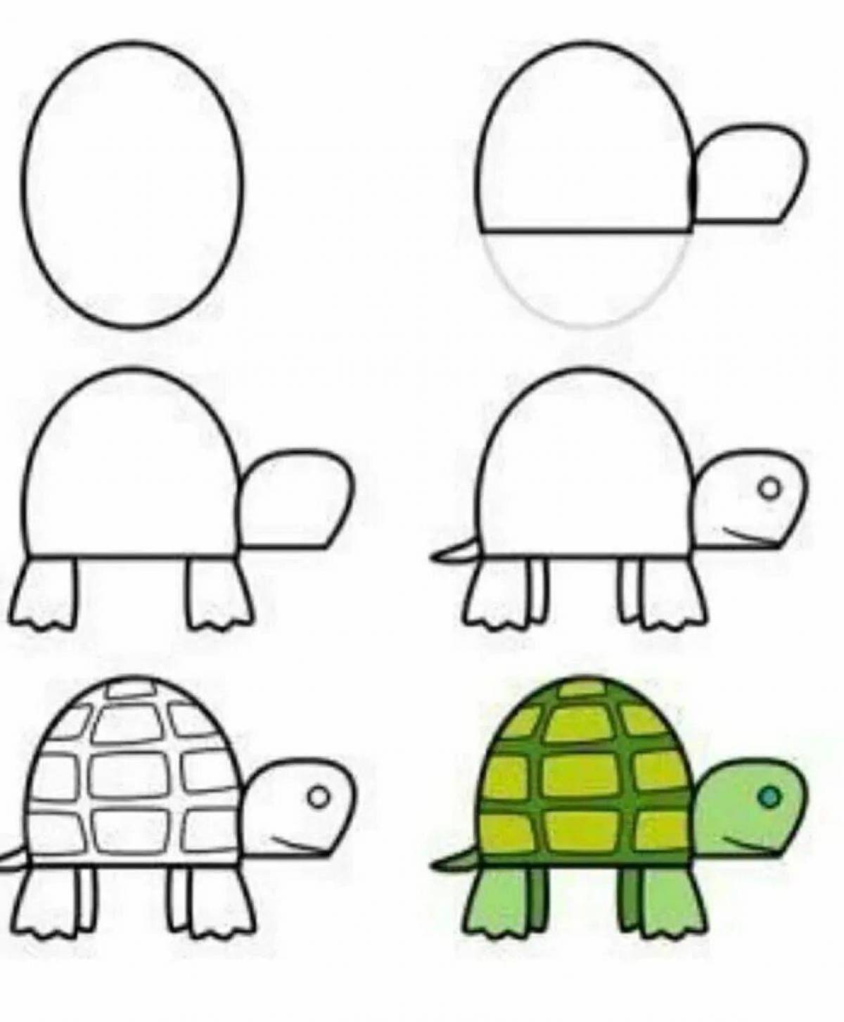 Как нарисовать квадробику. Пошаговое рисование для детей. Черепаха поэтапное рисование для детей. Рисование для детей 5-6. Поэтапное рисование черепахи для дошкольников.