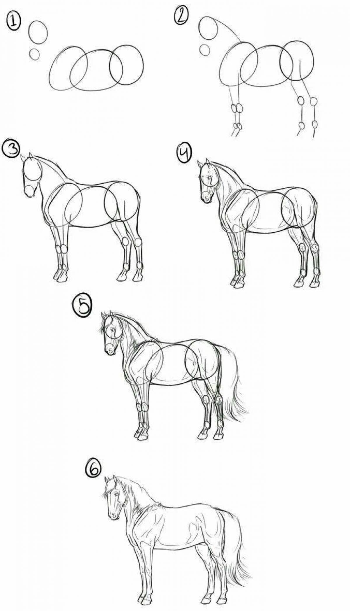 Уроки рисования для начинающих с нуля взрослых. Как научиться рисовать лошадь. Пошаговое рисование лошади. Лошадь карандашом. Схема рисования лошади карандашом.