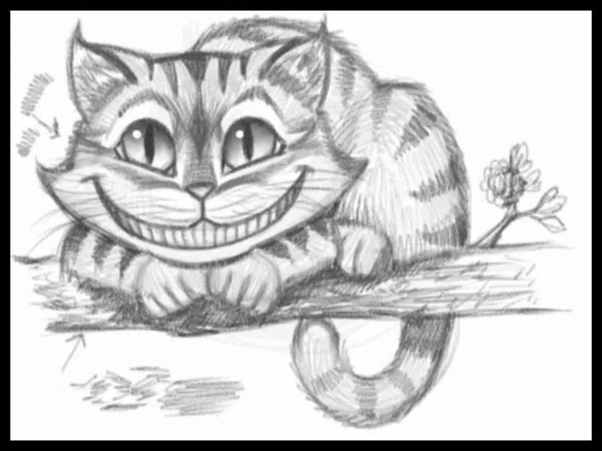 Коты для срисовки карандашом. Кот из сказки Алиса в стране чудес рисунок. Чеширский кот из Алисы в стране чудес. Чеширский кот из Алисы в стране чудес рисунки. Чеширский кот рисунок карандашом для срисовки.