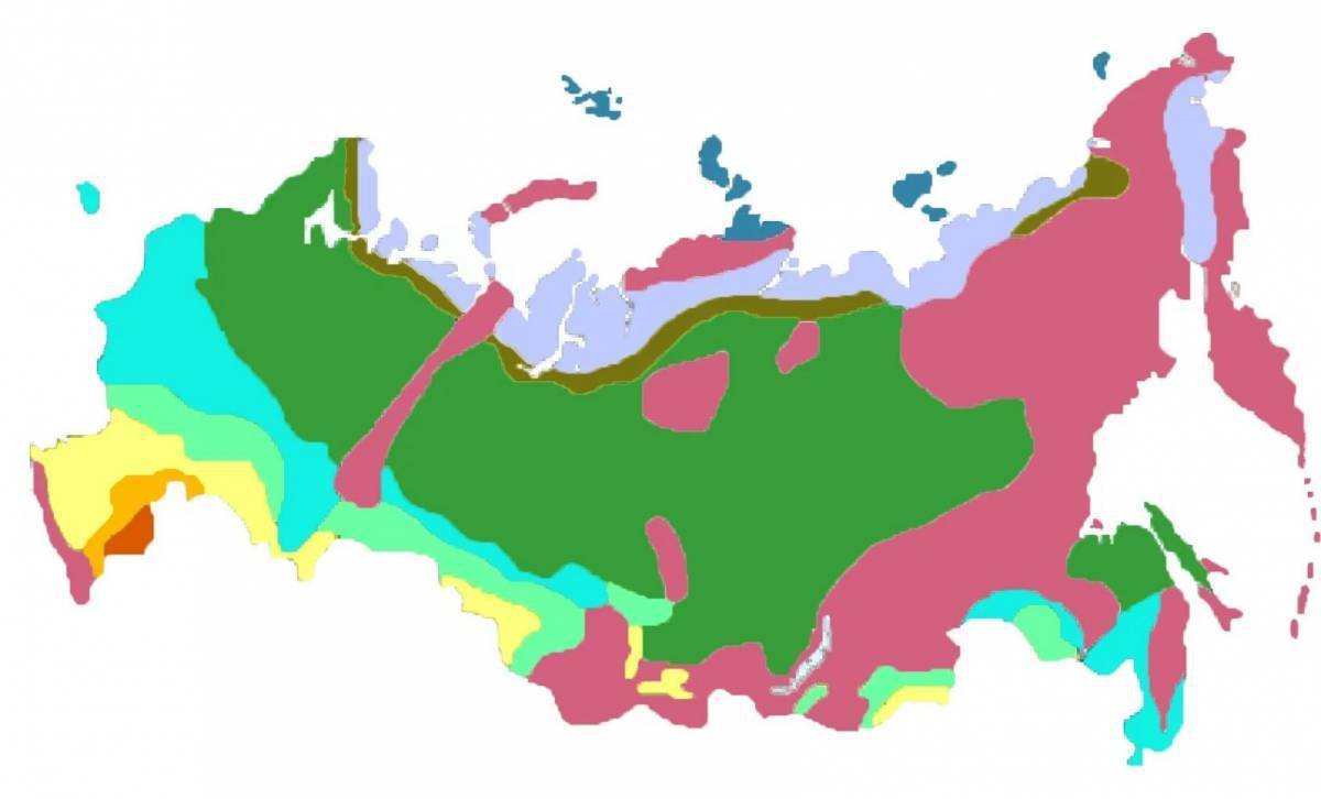 Природные зоны россии картинки