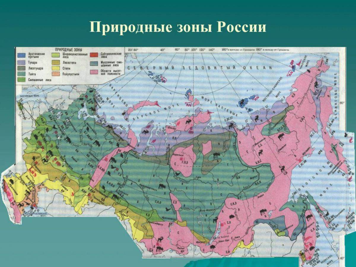 Карта россии с городами и природными зонами