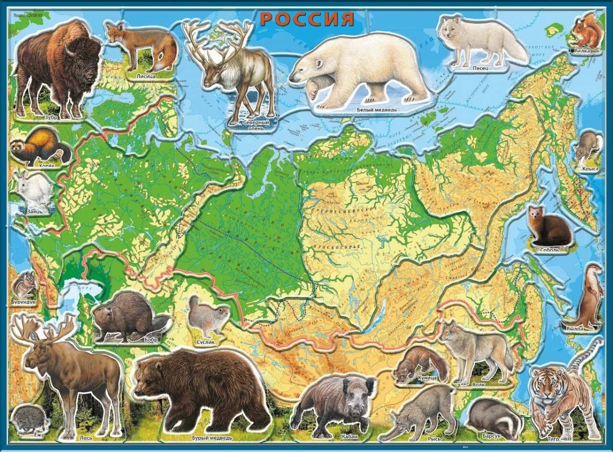 Картинки Карта россии с животными (29 шт.) - #7488