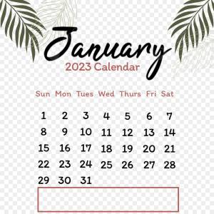 Раскраска календарь январь 2023 #13 #332028