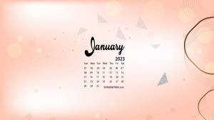 Раскраска календарь январь 2023 #23 #332038