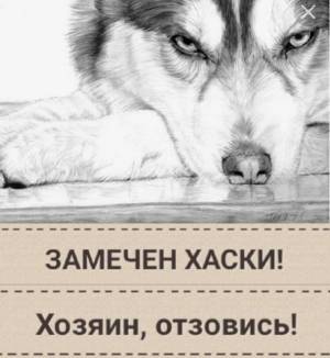 Раскраска карандашом для срисовки #4 #333634