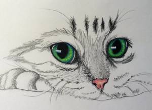 Раскраска карандашом кота #2 #333671