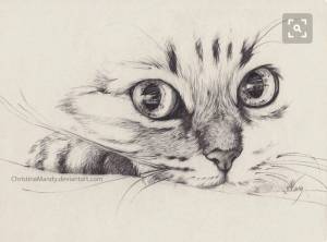 Раскраска карандашом кота #12 #333681