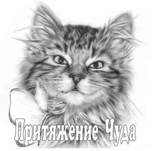 Раскраска карандашом кота #24 #333693