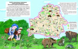 Раскраска карта беларуси для детей #24 #334486