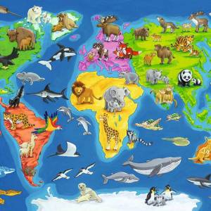Раскраска карта мира для детей #11 #334625