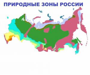 Раскраска карта природных зон россии #1 #334743