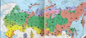 Раскраска карта природных зон россии #8 #334750