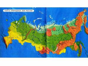 Раскраска карта природных зон россии #19 #334761