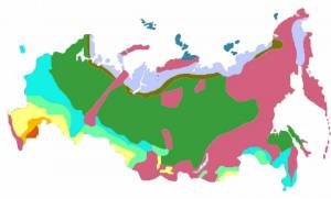 Раскраска карта природных зон россии #24 #334766