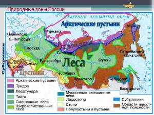 Раскраска карта природных зон россии #25 #334767