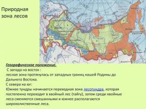 Раскраска карта природных зон россии #33 #334775