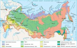 Раскраска карта природных зон россии #34 #334776