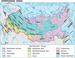 Раскраска карта природных зон россии #36 #334778