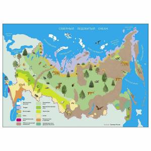 Раскраска карта природных зон россии 4 класс #8 #334789