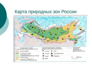 Раскраска карта природных зон россии 4 класс #19 #334800