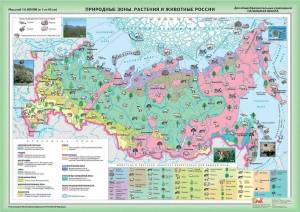 Раскраска карта природных зон россии 4 класс #25 #334806