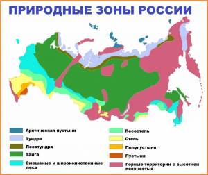 Раскраска карта природных зон россии 4 класс окружающий мир #2 #334821