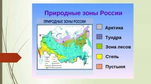 Раскраска карта природных зон россии 4 класс окружающий мир #7 #334826