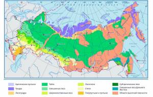Раскраска карта природных зон россии 4 класс окружающий мир #10 #334829