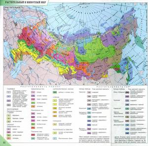Раскраска карта природных зон россии 4 класс окружающий мир #22 #334841