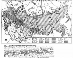 Раскраска карта природных зон россии 4 класс окружающий мир #31 #334850