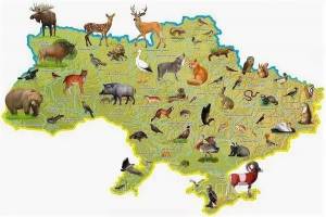 Раскраска карта россии с животными #2 #334973