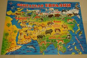 Раскраска карта россии с животными #11 #334982