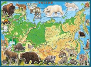 Раскраска карта россии с животными #13 #334984