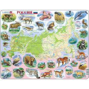 Раскраска карта россии с животными #26 #334997
