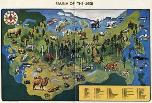Раскраска карта россии с животными #29 #335000