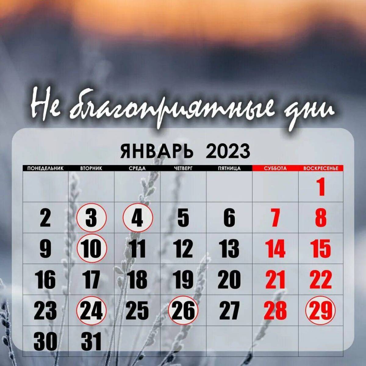Календарь январь 2023 #14