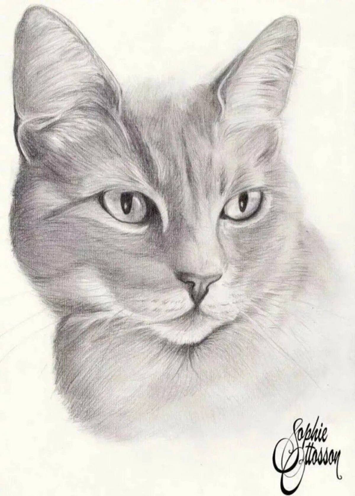 Картинки кошек рисовать. Кошка карандашом. Кошка рисунок карандашом. Портрет кошки карандашом. Нарисовать кошку карандашом.