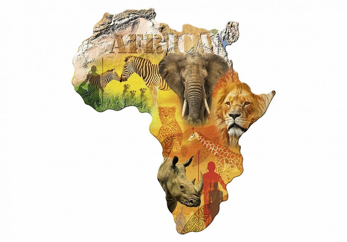 Карта африки #10
