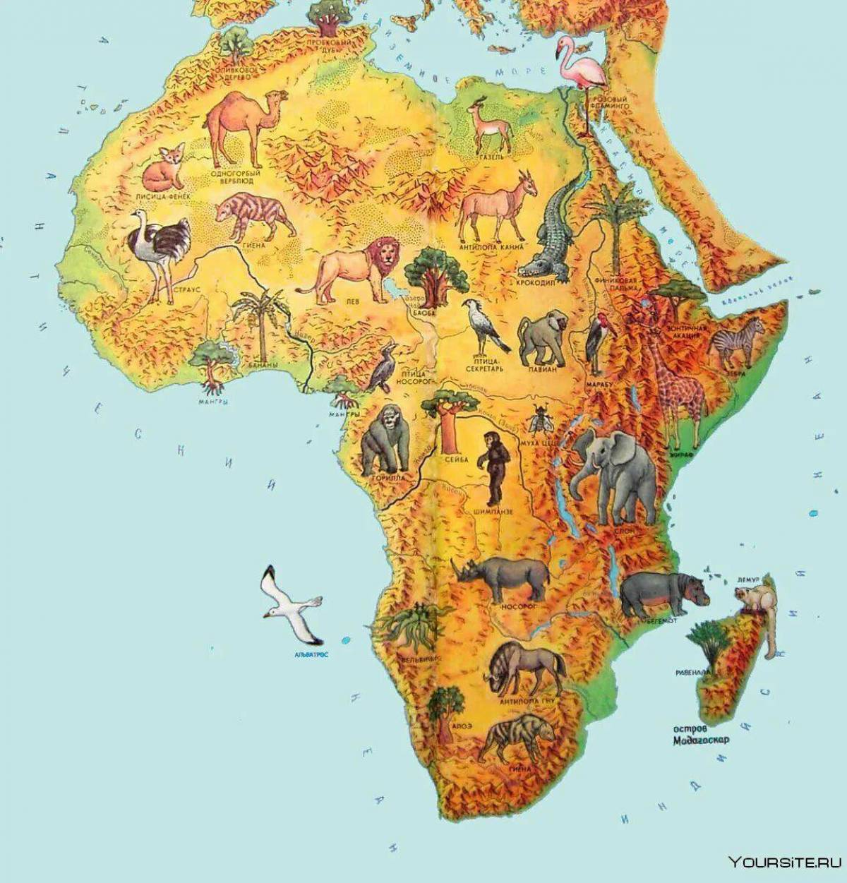 Карта африки #20