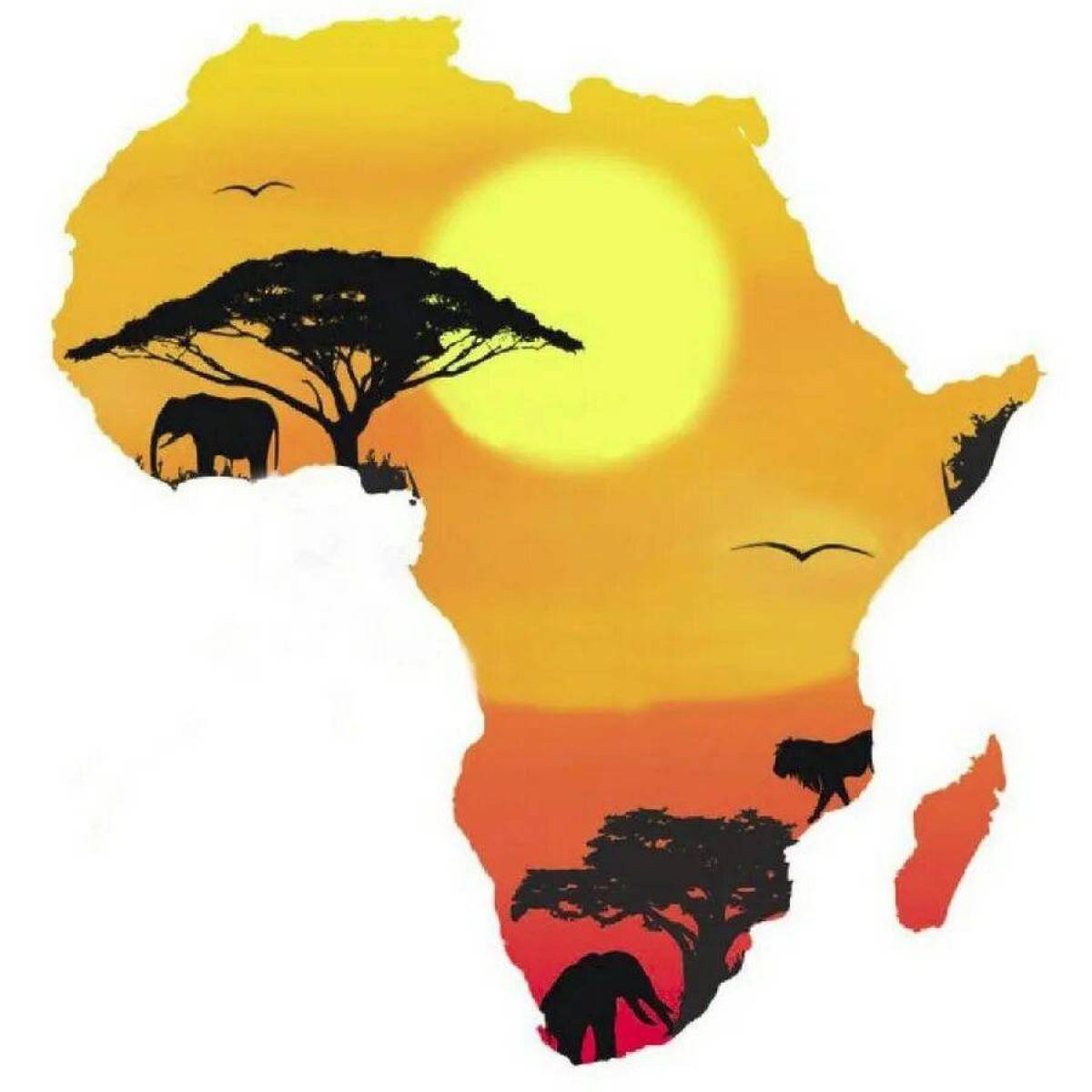 Карта африки #31