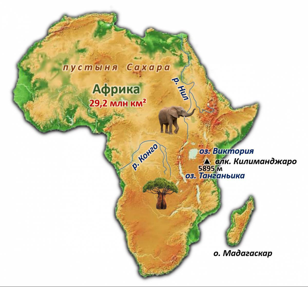 Карта африки #36