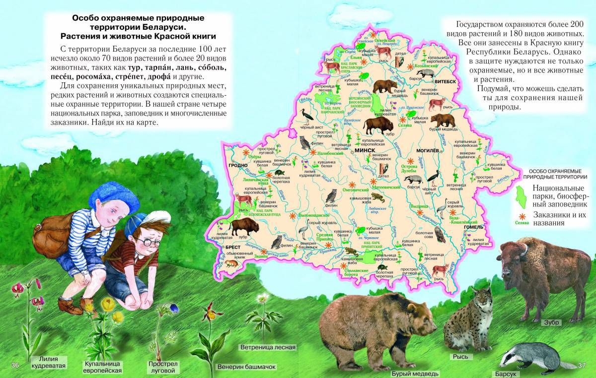 Карта беларуси #31
